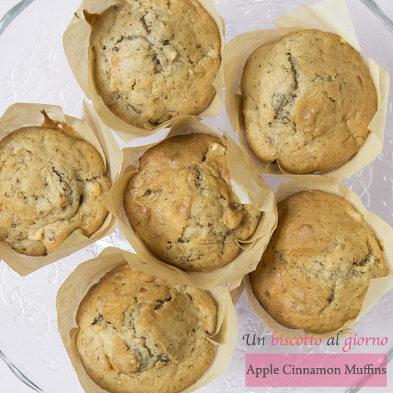 apple-cinnamon-muffin-1