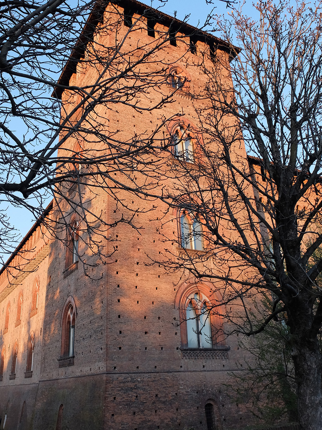 Castello di Pavia 